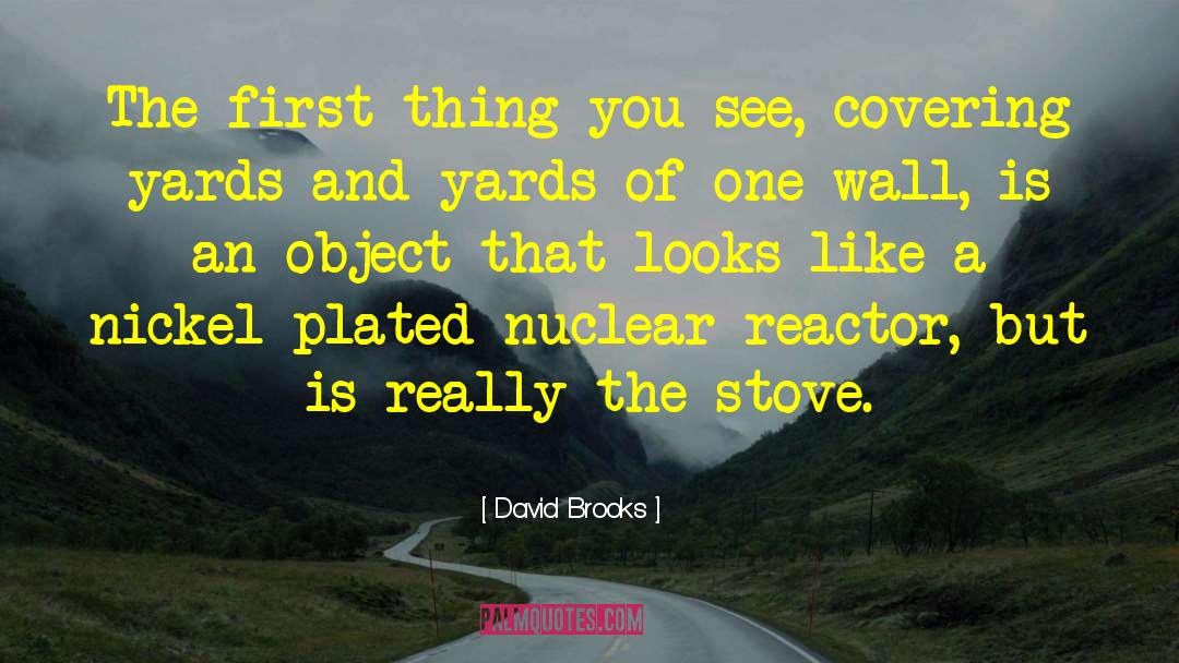 Midgleys Stove quotes by David Brooks