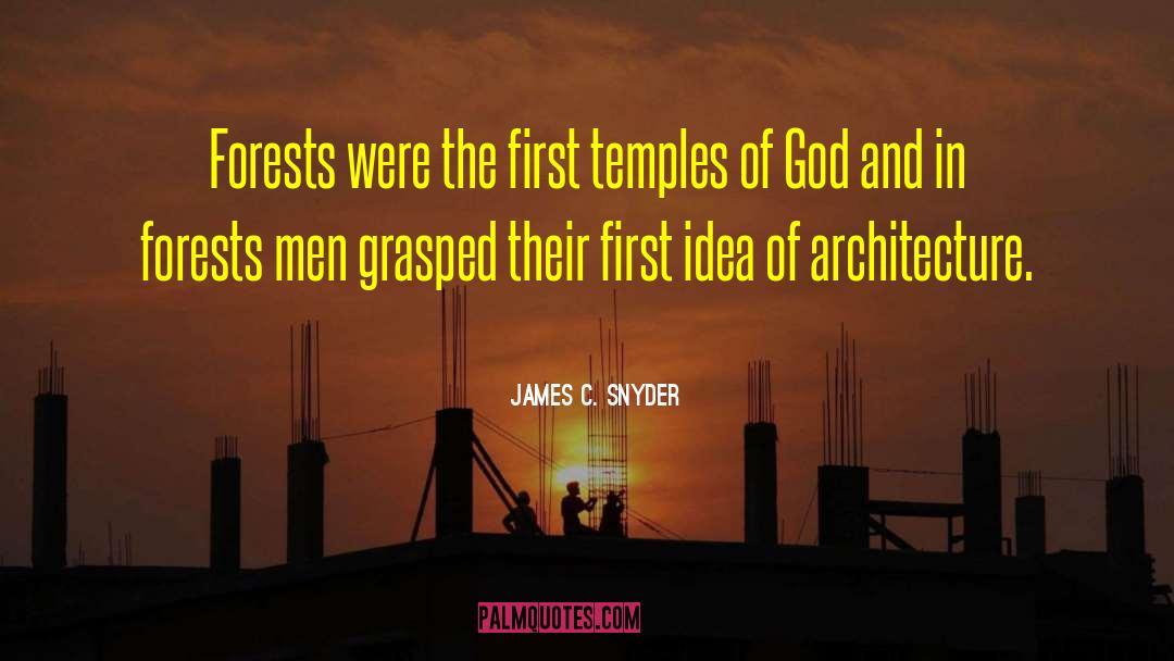 Midieval quotes by James C. Snyder