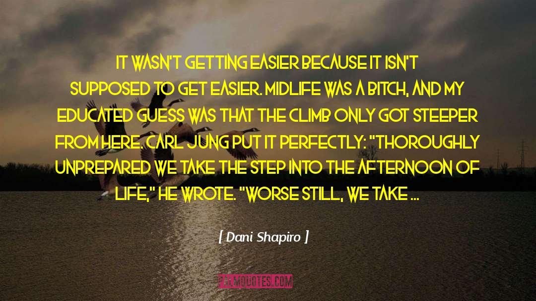 Midlife Midlife Crisis quotes by Dani Shapiro