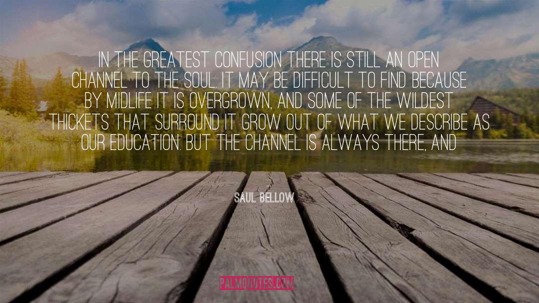 Midlife quotes by Saul Bellow