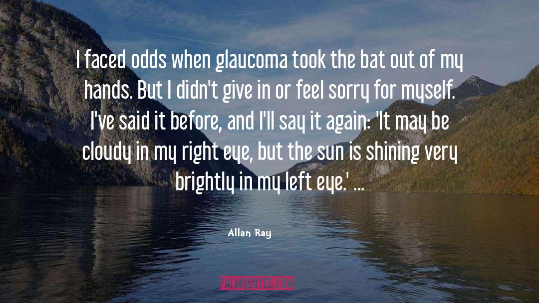 Midnight Sun quotes by Allan Ray