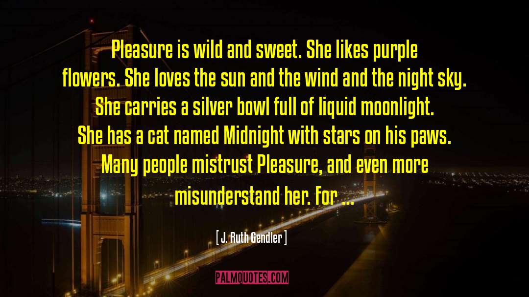 Midnight Sun Release quotes by J. Ruth Gendler