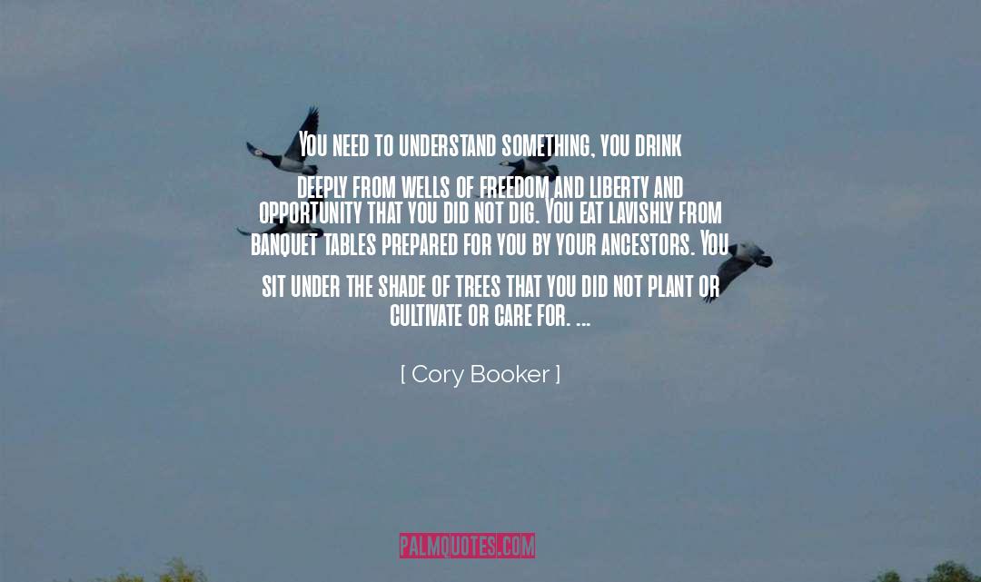 Midsection Fat quotes by Cory Booker