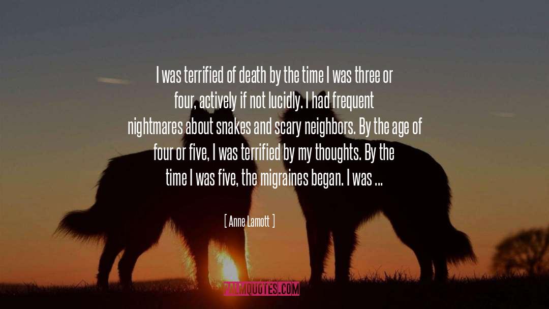 Migraines quotes by Anne Lamott