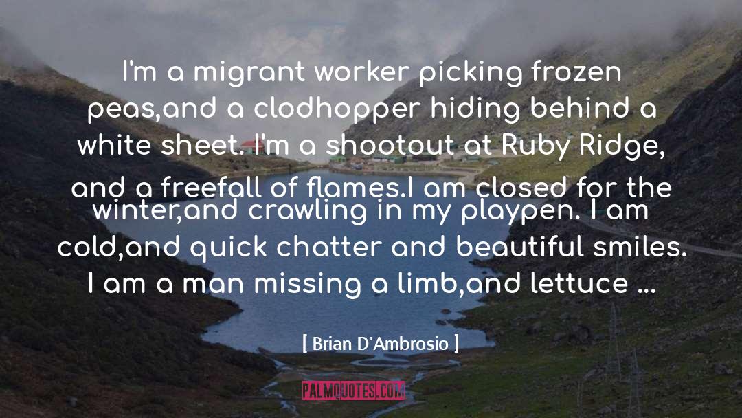 Migrant quotes by Brian D'Ambrosio