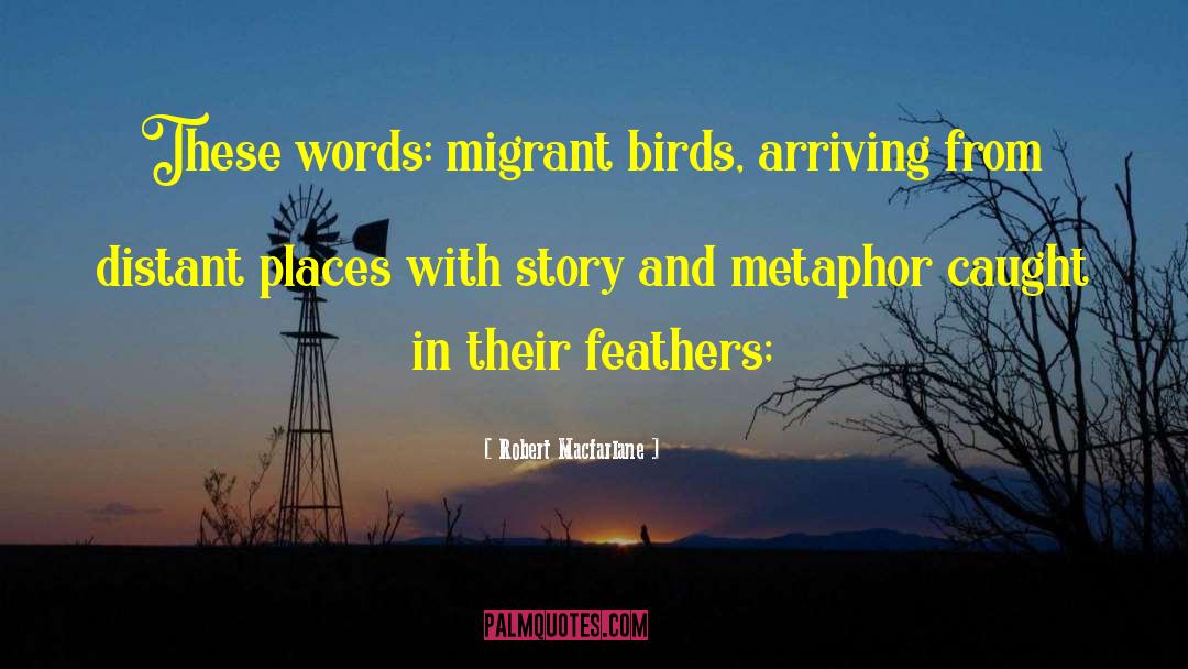 Migrant quotes by Robert Macfarlane