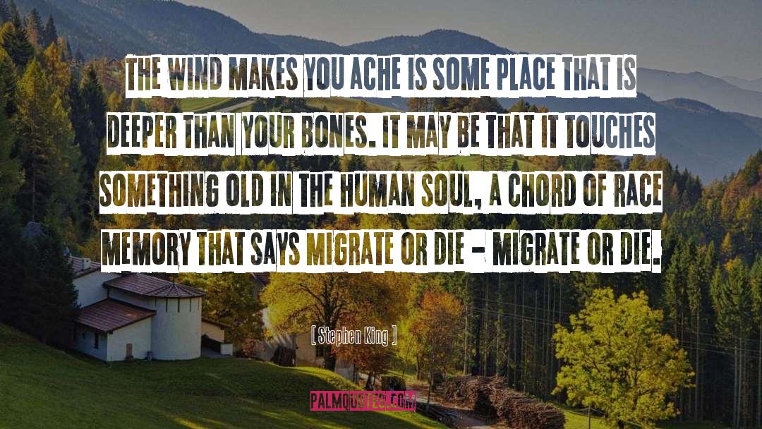 Migrate quotes by Stephen King
