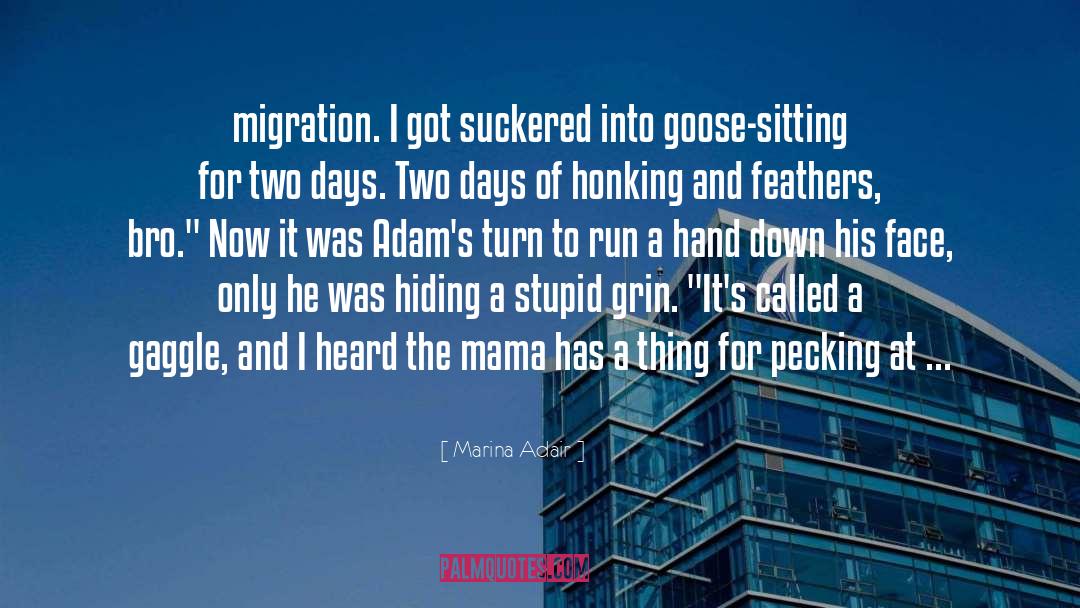 Migration quotes by Marina Adair