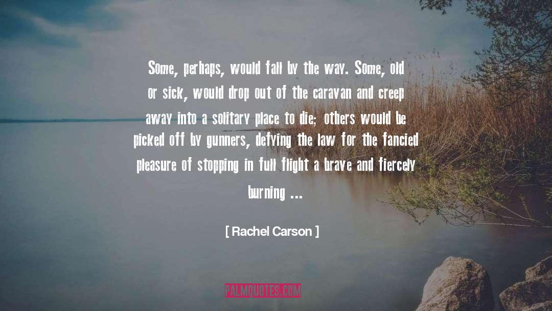 Migration quotes by Rachel Carson