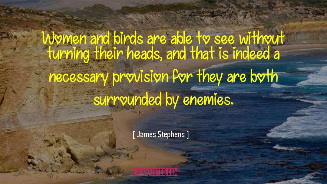 Migratory Birds Conservation quotes by James Stephens