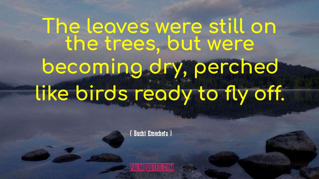 Migratory Birds quotes by Buchi Emecheta