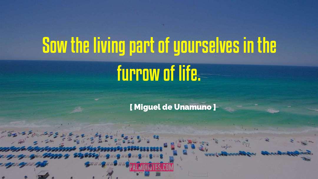 Miguel De Unamuno quotes by Miguel De Unamuno