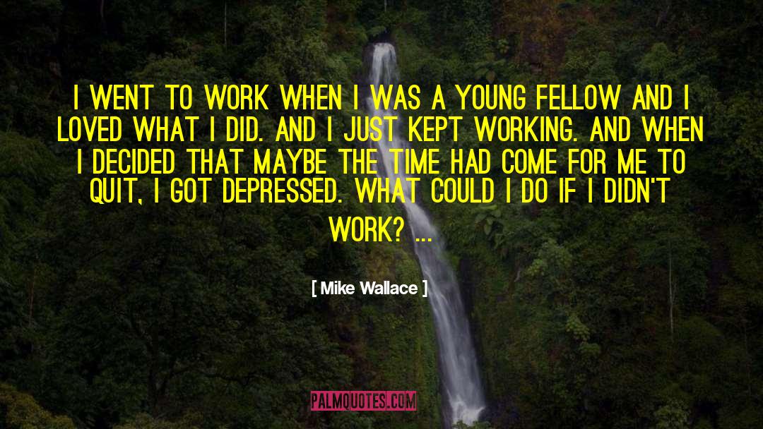Mike Meyers quotes by Mike Wallace