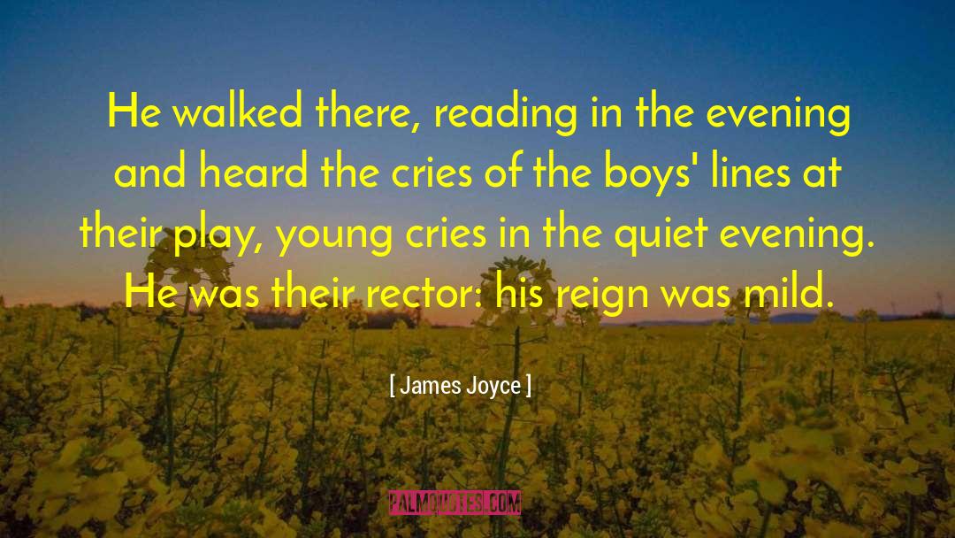 Mild quotes by James Joyce