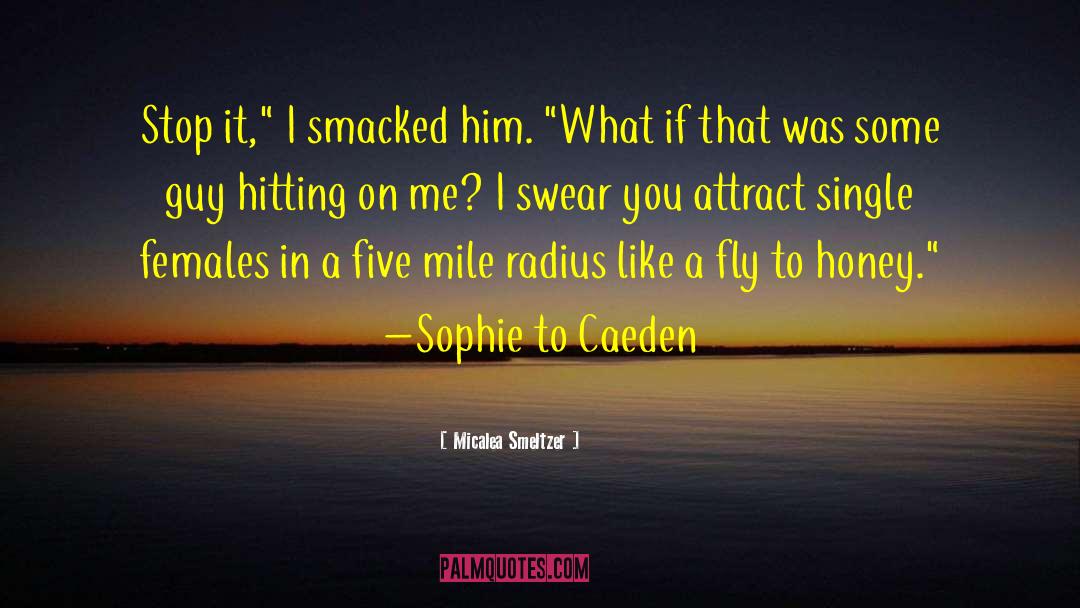 Mile quotes by Micalea Smeltzer