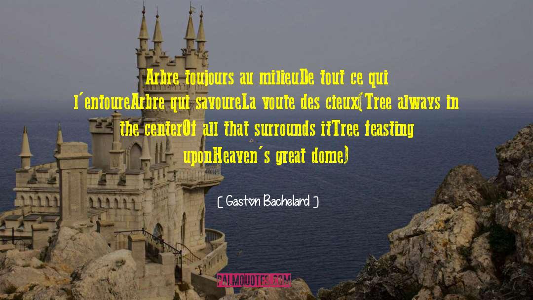 Milieu quotes by Gaston Bachelard