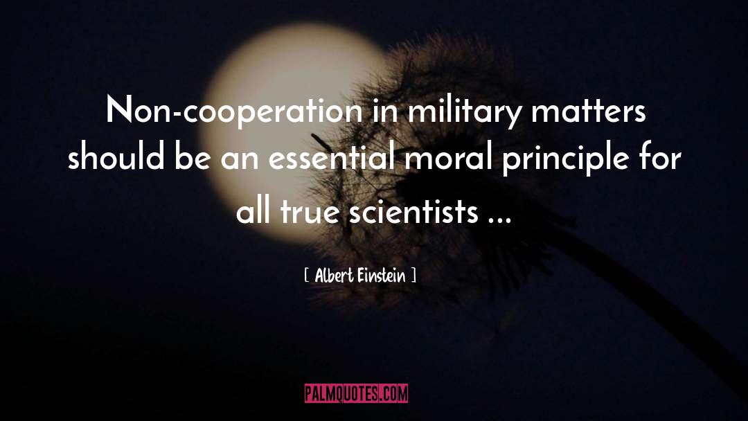 Military Budget quotes by Albert Einstein