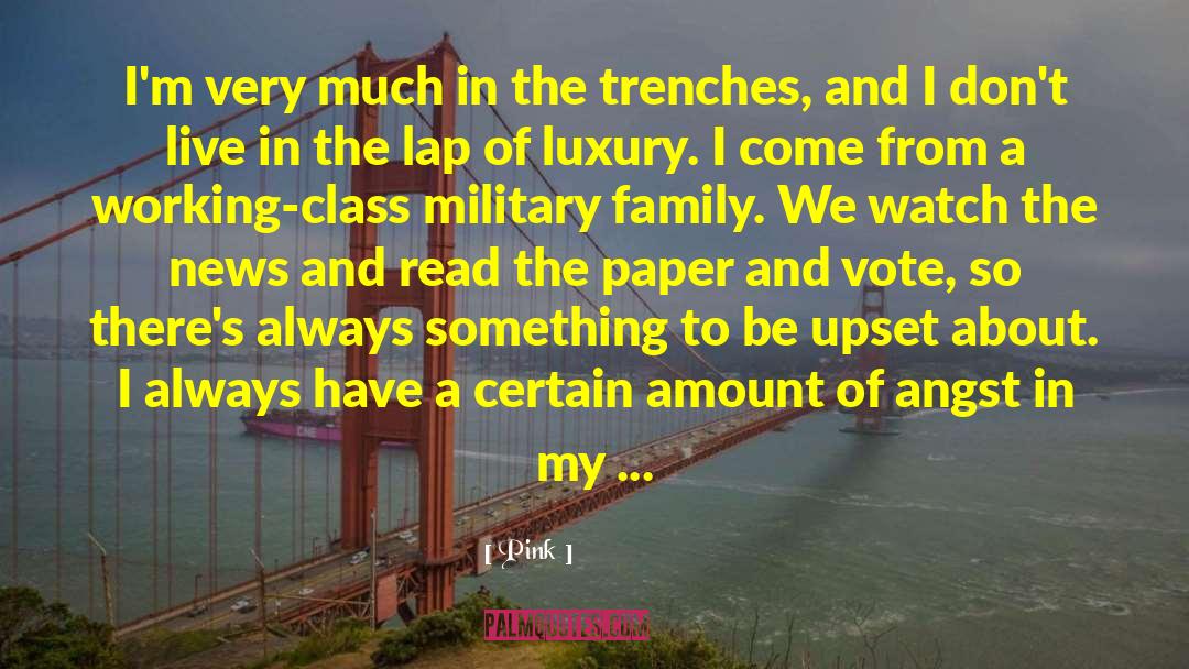 Military Family quotes by Pink