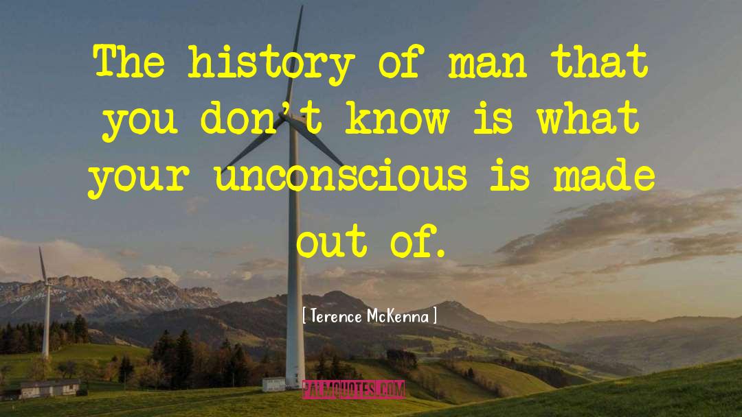 Military History quotes by Terence McKenna