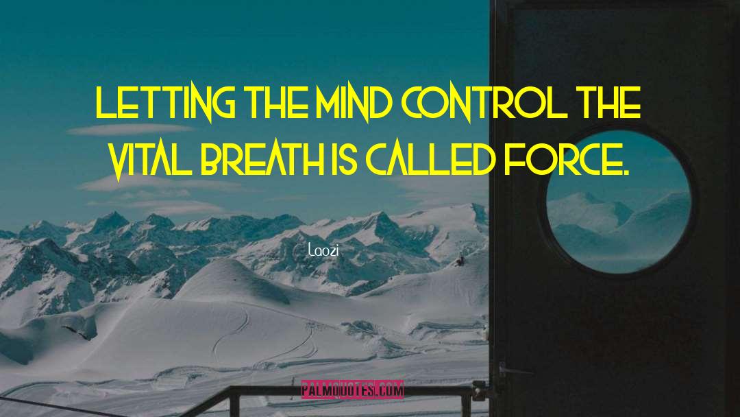 Military Mind Control quotes by Laozi