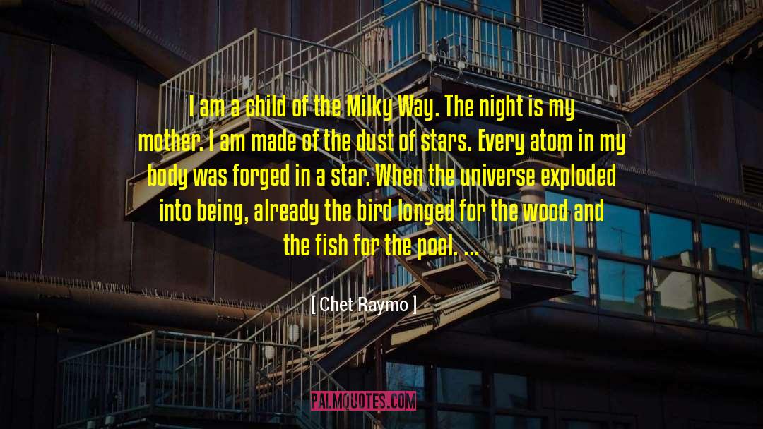 Milky Way Galaxy quotes by Chet Raymo