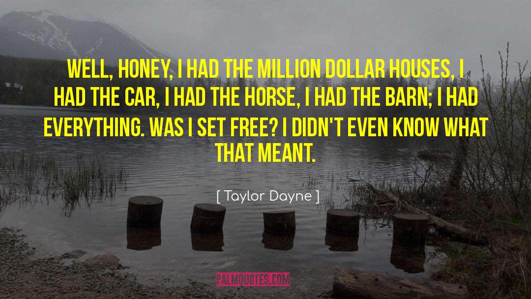 Million Dollar Houses quotes by Taylor Dayne