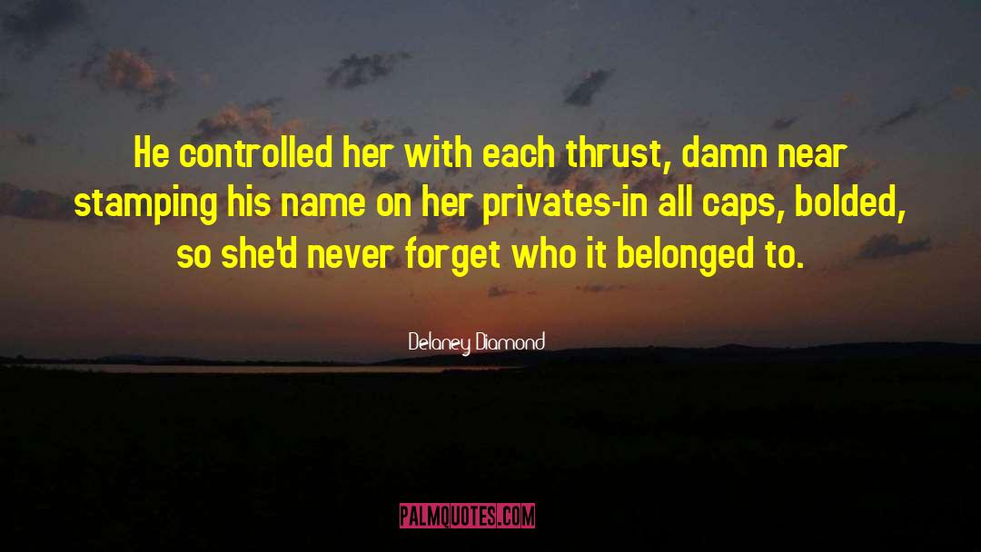 Millionaire Romance quotes by Delaney Diamond