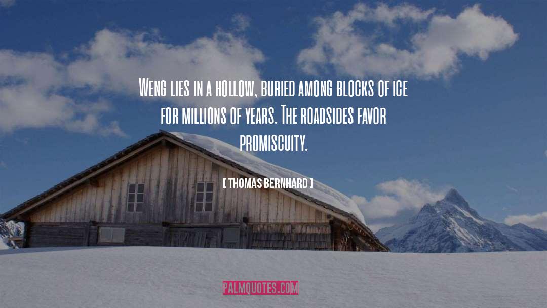 Millions Of Years quotes by Thomas Bernhard