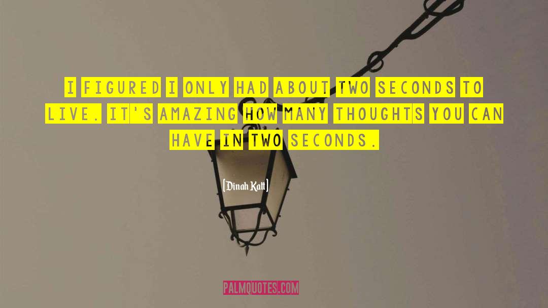 Millisecond To Seconds quotes by Dinah Katt