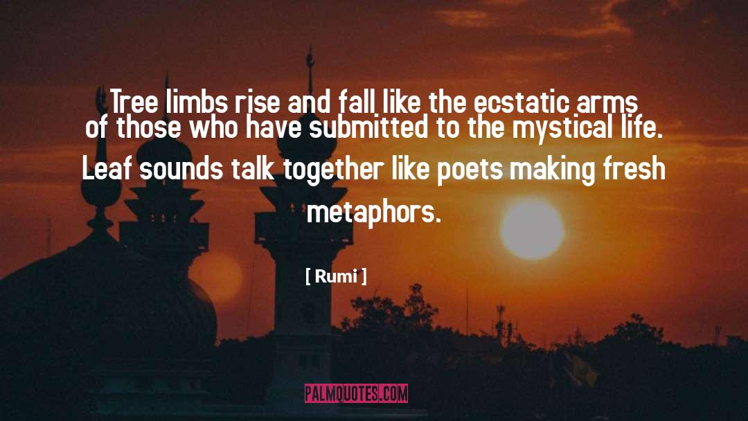 Mimosa Tree quotes by Rumi