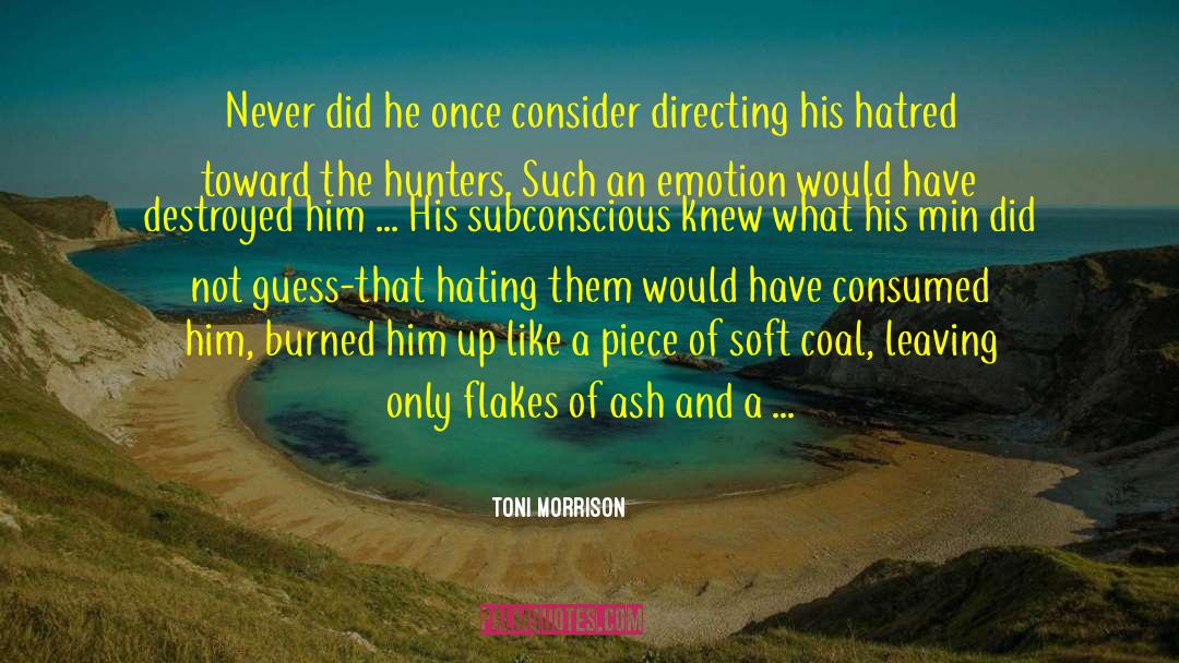 Min Doktor quotes by Toni Morrison