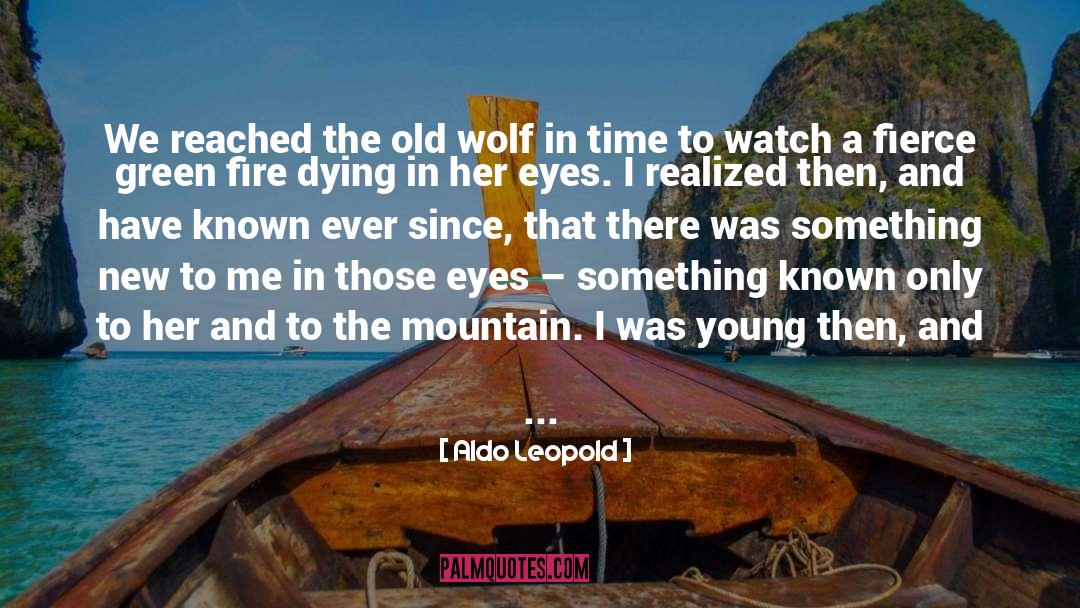 Min Green quotes by Aldo Leopold
