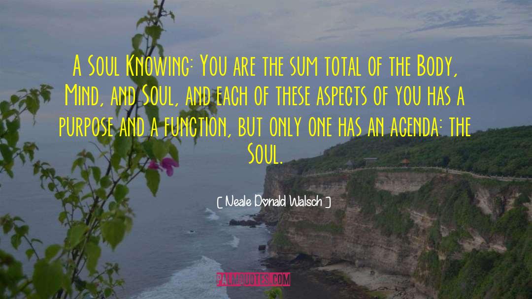 Mind And Soul quotes by Neale Donald Walsch