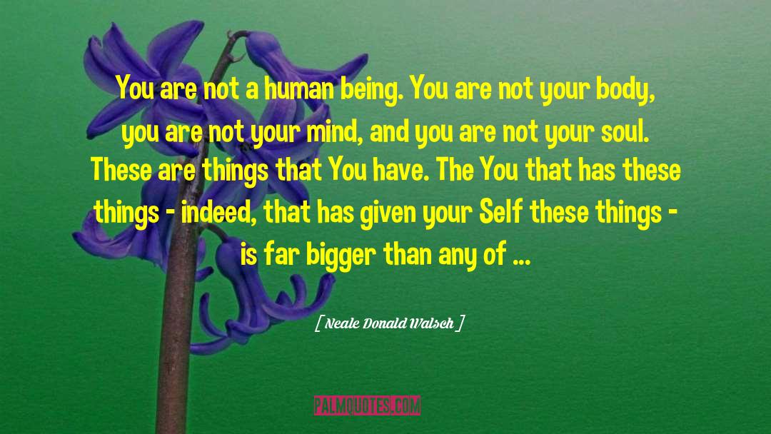 Mind Body Connection quotes by Neale Donald Walsch