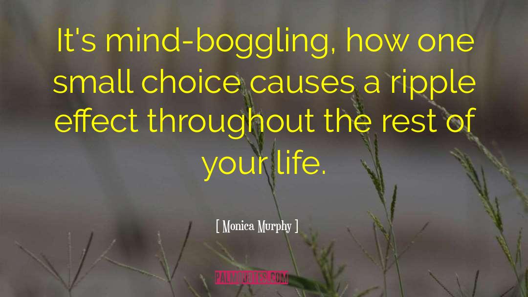 Mind Boggling quotes by Monica Murphy