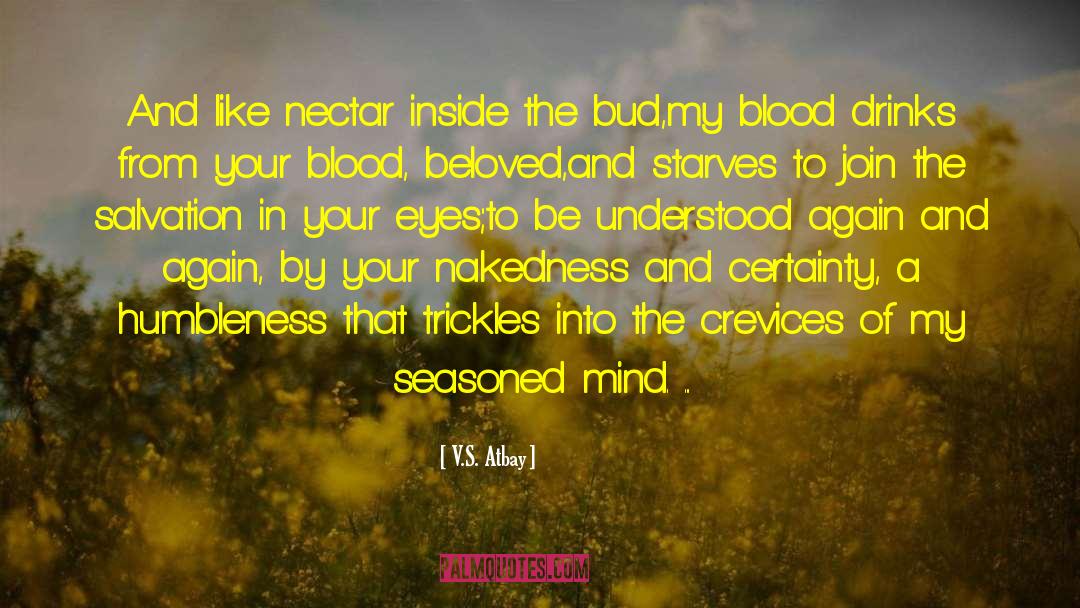 Mind Love quotes by V.S. Atbay