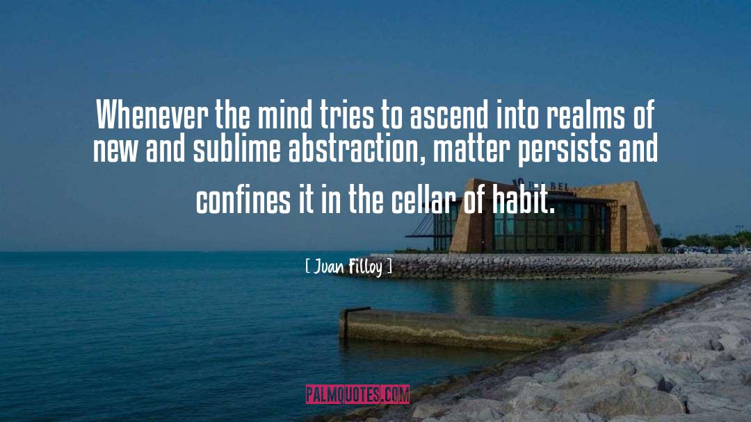 Mind Matter quotes by Juan Filloy