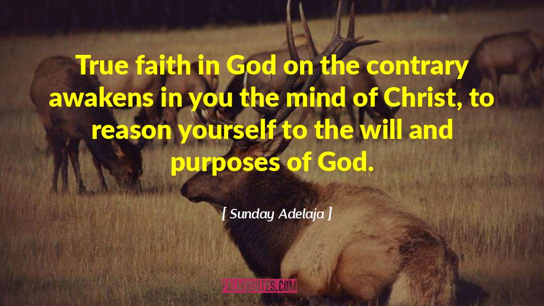 Mind Of Christ quotes by Sunday Adelaja