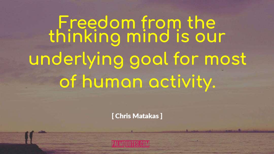 Mind Of Entrepreneur quotes by Chris Matakas