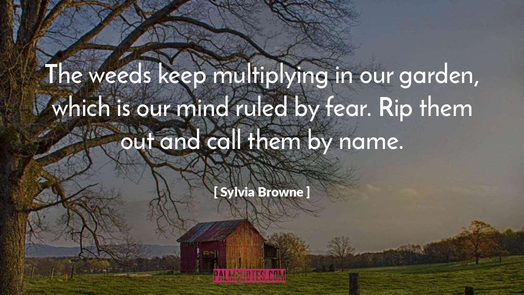 Mind Virus quotes by Sylvia Browne