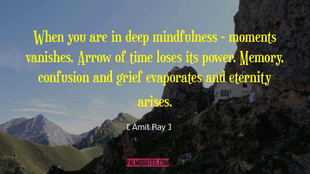 Mindful Leadership quotes by Amit Ray