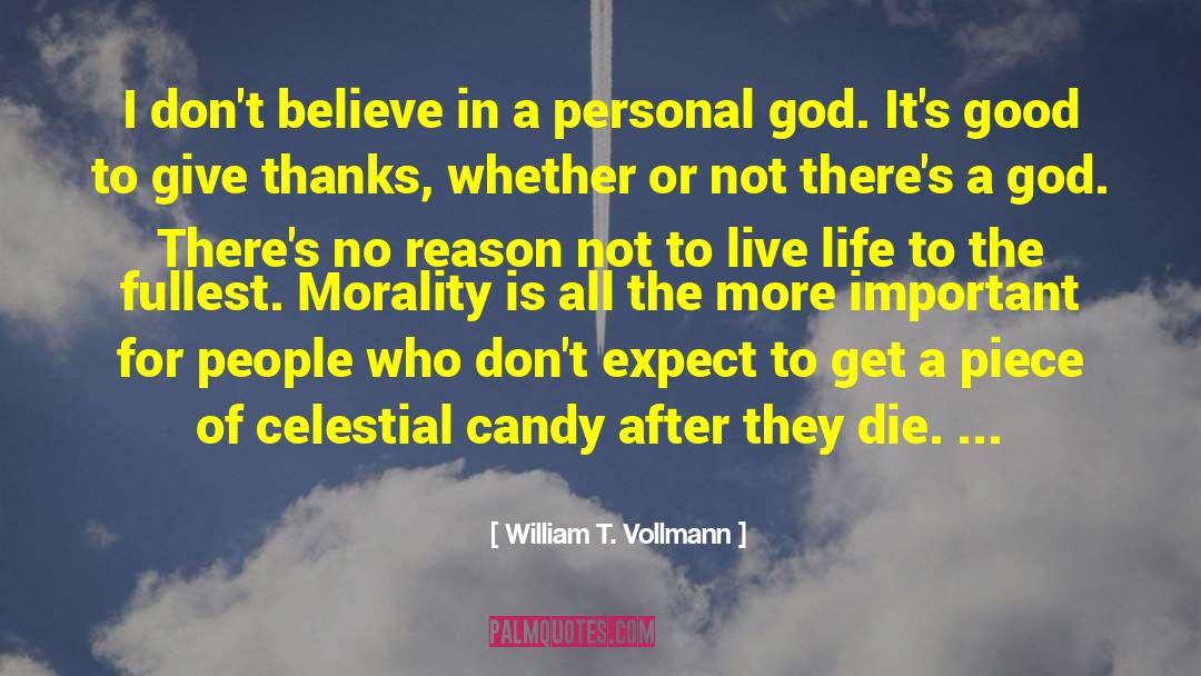Mindful Of God quotes by William T. Vollmann