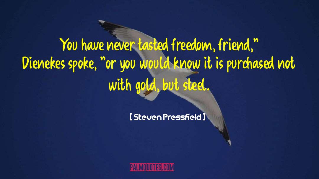 Mindful Warrior quotes by Steven Pressfield