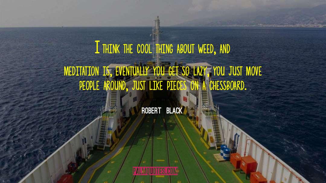 Mindfulness And Meditation quotes by Robert  Black