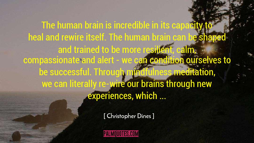 Mindfulness Burnout Prevention quotes by Christopher Dines