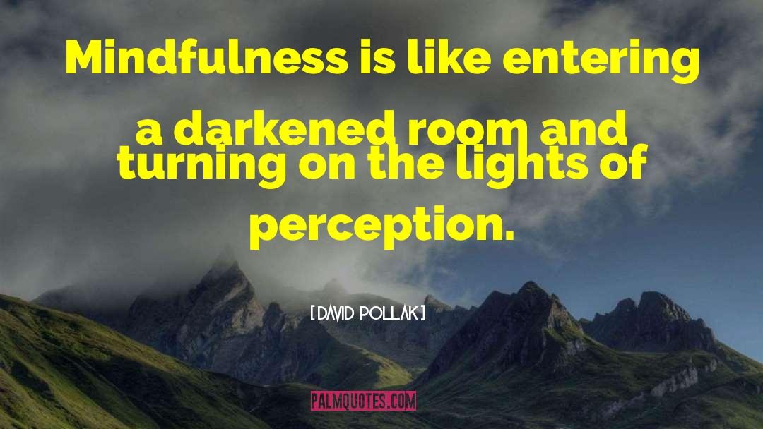 Mindfulness Meditation quotes by David  Pollak