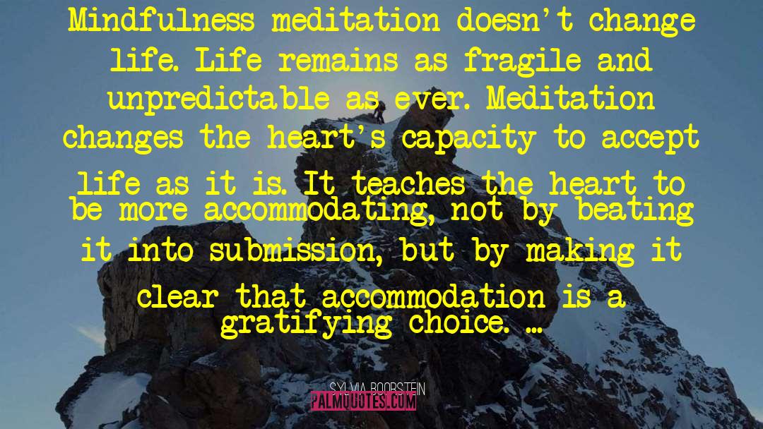 Mindfulness Meditation quotes by Sylvia Boorstein