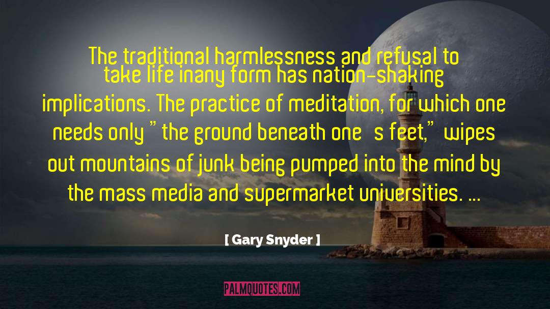 Mindfulness Meditation quotes by Gary Snyder