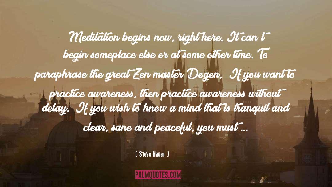 Mindfulness Meditation quotes by Steve Hagen
