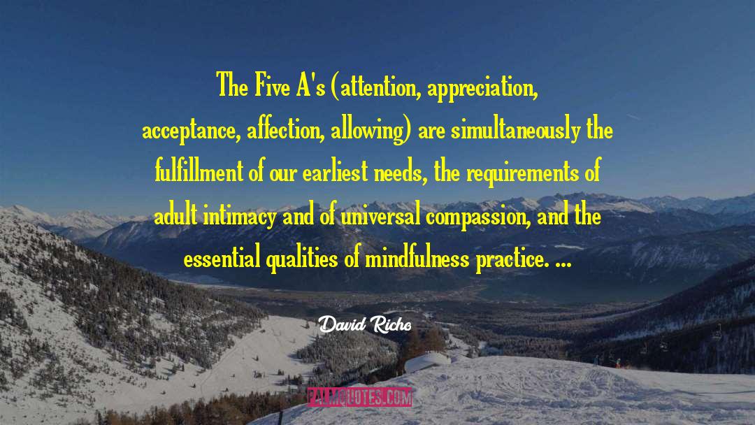 Mindfulness Practice quotes by David Richo